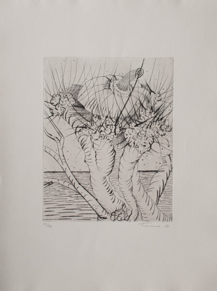 Helmut Thoma - Kopfweide mit Kürbis - 1968 - Radierung