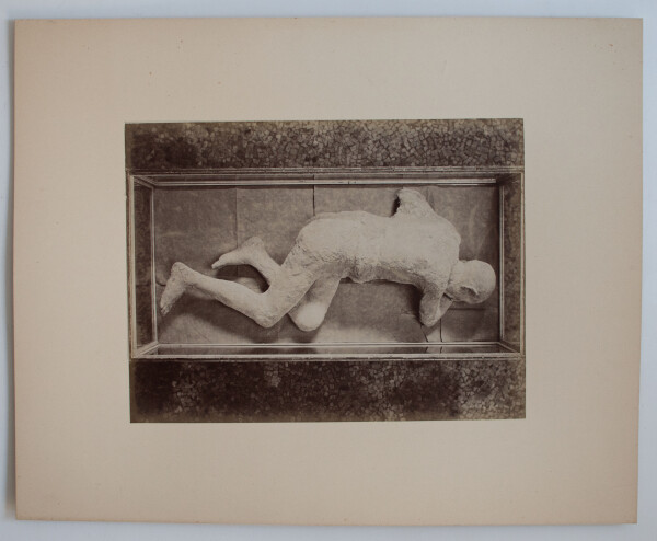 Giorgio Sommer, Giacomo Brogi u.a. | Neapel | Fotografie | 2. Hälfte 19. Jhd.