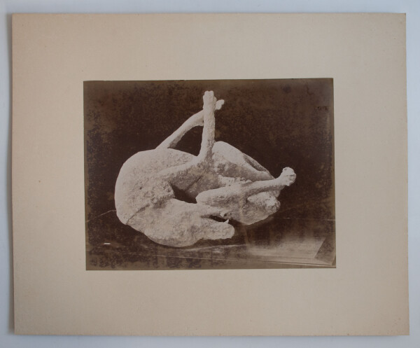 Giorgio Sommer, Giacomo Brogi u.a. | Neapel | Fotografie | 2. Hälfte 19. Jhd.