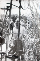 Leonardo Bezzola | Jean Tinguely | Fotografie | 1960er Jahre