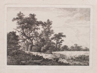 Nach Jacob van Ruisdael | Kornfeld | Radierung | 18. Jhd.