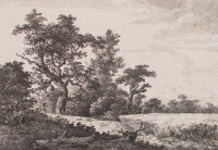 Nach Jacob van Ruisdael | Kornfeld | Radierung | 18. Jhd.