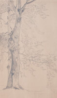 Deutscher Künstler | Baumstudie | Bleistiftzeichnung...
