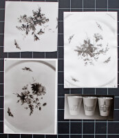 Luise Charlotte Koch | Entwürfe für KPM | Bleistift, Feder, Kugelschreiber, Fotografie, Typoskript, Kupferdruck, Holzschnitt | 1940er bis 1990er Jahre