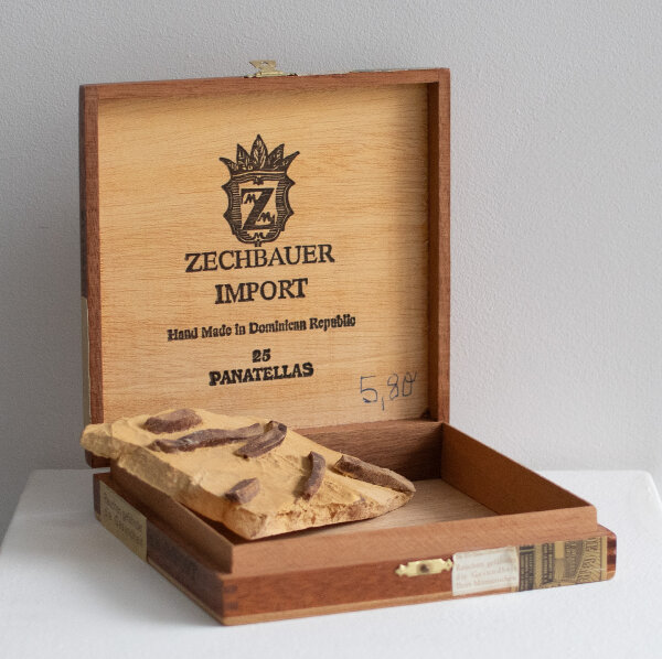 Mark Dion | Dept. Of Paleontology | Mixed media | 2001