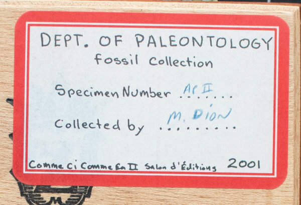 Mark Dion | Dept. Of Paleontology | Mixed media | 2001