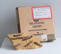 Mark Dion | Dept. Of Paleontology | Mixed media | 2001