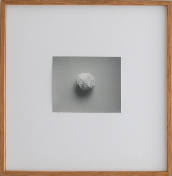 Till Krause | Elemente für eine künstlerische Natur | Fotografie | 1997