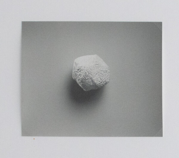 Till Krause | Elemente für eine künstlerische Natur | Fotografie | 1997