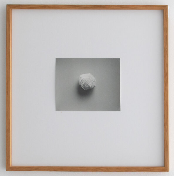 Till Krause | Elemente für eine künstlerische Natur | Fotografie | 1997