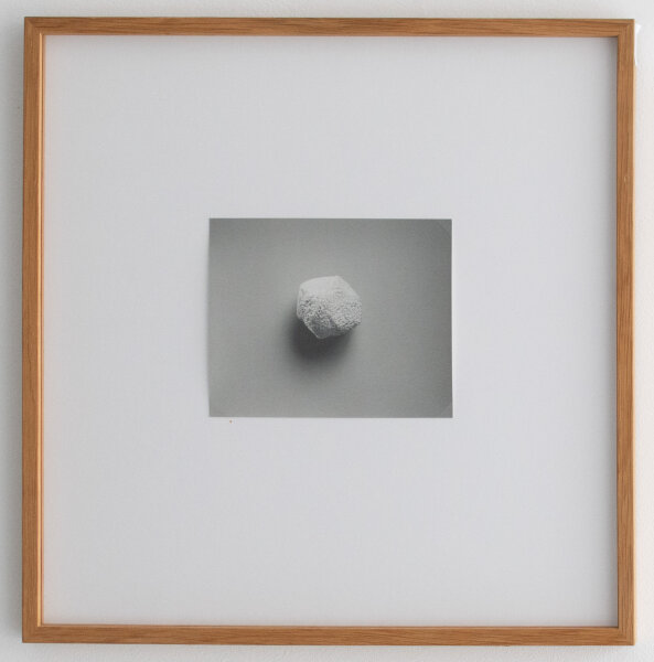 Till Krause | Elemente für eine künstlerische Natur | Fotografie | 1997