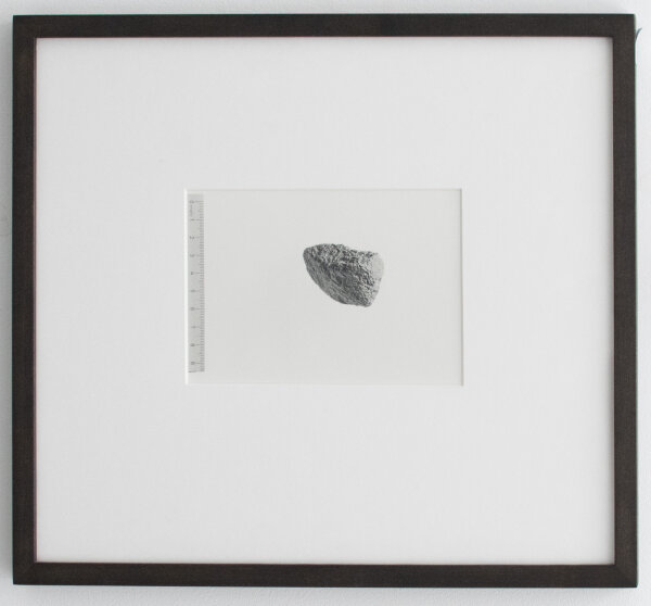 Till Krause | Elemente für eine künstlerische Natur | Fotografie | 1997