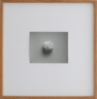 Till Krause | Elemente für eine künstlerische Natur | Fotografie | 1997