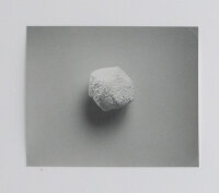 Till Krause | Elemente für eine künstlerische Natur | Fotografie | 1997