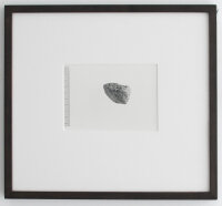 Till Krause | Elemente für eine künstlerische Natur | Fotografie | 1997